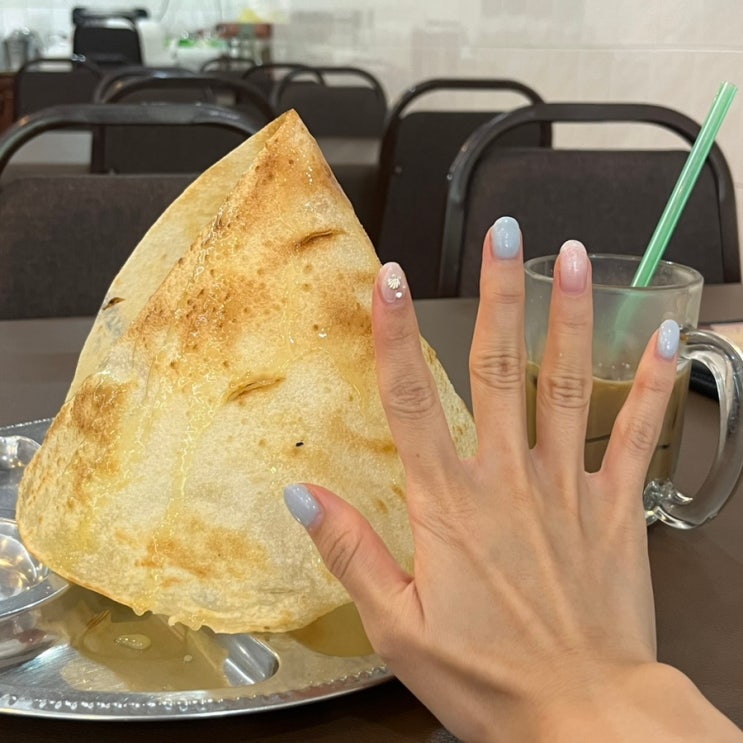 코타키나발루 꼭 가야하는 맛집 Jothy's curry house 로티티슈 (로띠티슈)