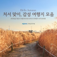 더위가 물러간다는 '처서' 맞이, 감성 여행지를 소개합니다｜레일바이크, 봉화 별보기 여행