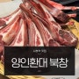 서울 시청역 맛집 양인환대 북창 내돈내산 양고기 소개팅장소