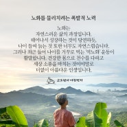 노화를 물리치려는 폭발적 노력