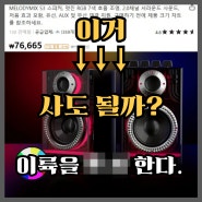 의문의 테무 스피커, 이륙 허가? 너무 궁금해서 사봤습니다...