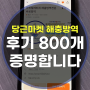 영등포구 강서구 당근마켓 가성비 해충방역 추천! 후기 800개