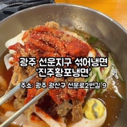 광주 선운지구 냉면 진주황포냉면 섞어냉면