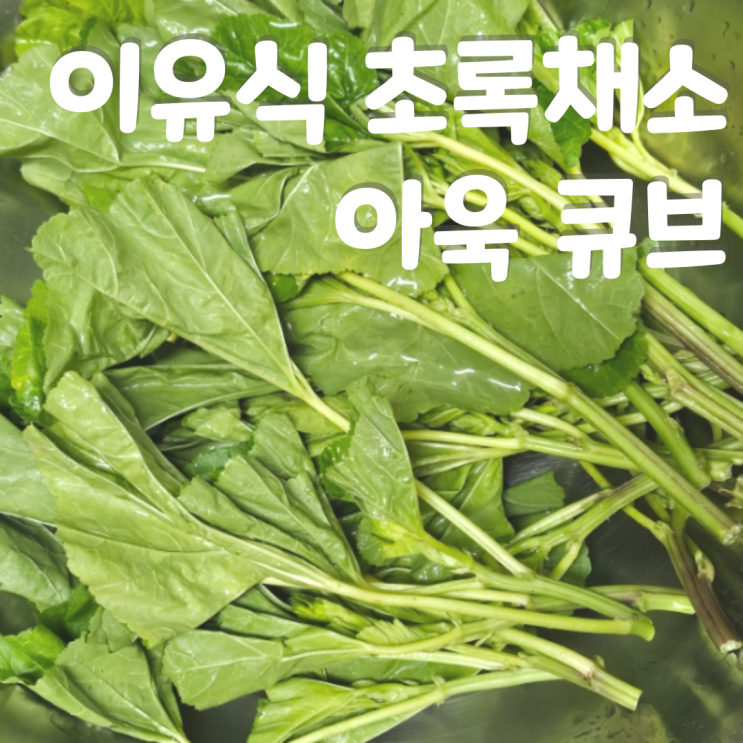 중기이유식 초록 잎채소 아욱 큐브 아욱 토핑 재료 궁합 : 네이버 블로그
