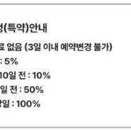 보홀로 가는길_투어 알아보기