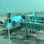 KE081 ICN-JFK(대한항공 인천-뉴욕), 380비행기 후기