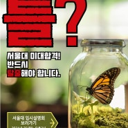 녹지 2024년 8월 입시설명회 안내 (서울대_홍대)