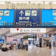 일본 오사카 간사이공항 편의시설, 식당(푸드코트), 흡연실, 짐보관