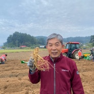 추석(한가위) 선물, 건강과 정성을 담은 최고의 선택 - [정성농장홍삼]