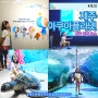 제주도 동쪽코스 아이와 가볼만한 곳 제주 아쿠아플라넷