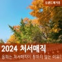 2024 처서매직 :: 최장 열대야 올해 처서 매직 통하지 않는 이유는?