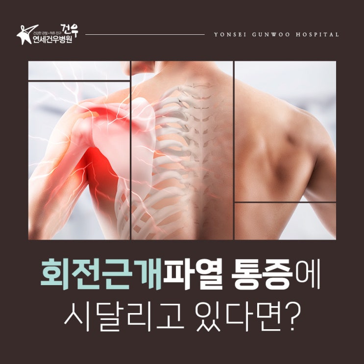 어깨 회전근개 파열 통증에 시달리고 있다면?주목! : 네이버 블로그