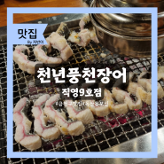 금천구 맛집 천년풍천장어 직영 9호점 독산역 근처 회식장소