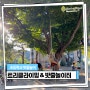 초등학교 트리클라이밍 밧줄놀이 체험활동 모험과 성취의 즐거움