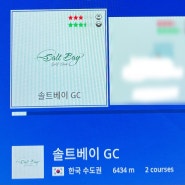 골프존 스크린 시흥 솔트베이gc 라운드 후기