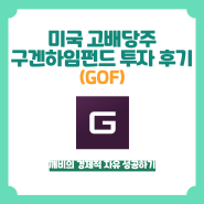 미국 고배당주 구겐하임펀드 GOF 5개월간 투자 결과 및 주가 배당 정리