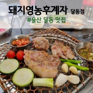 울산 달동 맛집 돼지영농후계자 달동점 꼬들목살 회식장소 추천