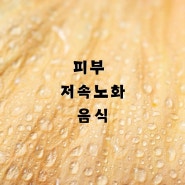 피부 저속노화 음식