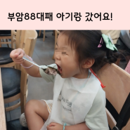 시민공원맛집 부암동맛집 88대패 아이와 왔어요