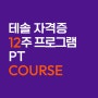 테솔 자격증 12주 도전 : 테솔컬리지