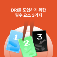 DRI를 도입하기 위한 필수 요소 3가지