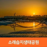 인천 당일치기여행, 소래습지생태공원 인천 일몰,일출 명소