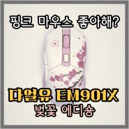 저렴한 핑크 마우스. 다얼유 EM901X 핑크공주 필수템