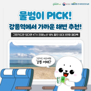 [그린시리즈] 물범이 PICK! 강릉역에서 가까운 해변 추천!