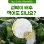 배추 점박이 먹어도 되는것일까요? 깨씨무늬병 이란? 배추가격 폭등