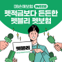 DB손해보험 IN터뷰 : 전국 집사들 집중! 펫적금 vs 펫보험 고민 이제 끝내요!feat.DB손해보험 펫보험 추천! 펫블리 반려견보험&반려묘보험