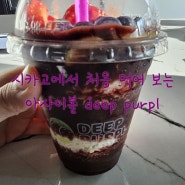 [Acai bowl] 슈퍼푸드 아사이베리로 만든 아사이볼 시카고에서 처음 먹어보다 deep purpl