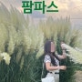 부산 대저생태공원 팜파스 주말 나들이/ 사람별로없어요 PM6:30저녁방문/주차네비/화장실