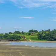 [전남/완도] 장보고 기념관, 장도, 청해진 방문 후기 / 여행 사진 기록