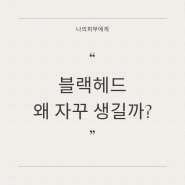 블랙헤드 원인, 없애는 방법, 하면 안 되는 이것?!