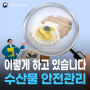 수산물 안전관리, 이렇게 하고 있습니다!📢