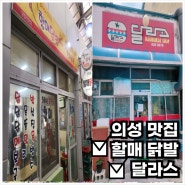 의성 전통시장 먹거리 추천 연탄불맛 할매 닭발, 레트로 감성 달라스 햄버거