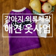 강아지 의류제작 판매 맞춤 옷 애견의류사업 하려면?