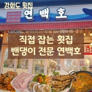 [강화도 맛집] 밴댕이 횟집 연백호 라르고빌 리조트 근처