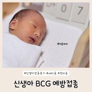 신생아 BCG 예방접종 경피용 피내용 비교