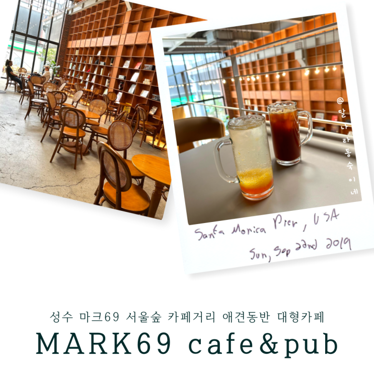 네이버 인플루언서: 달나라동숙이네의 홈 [네이버 인플루언서] 달나라동숙이네