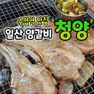 일산 주엽역 맛집 대박이벤트. 착한가격 양갈비 청양!