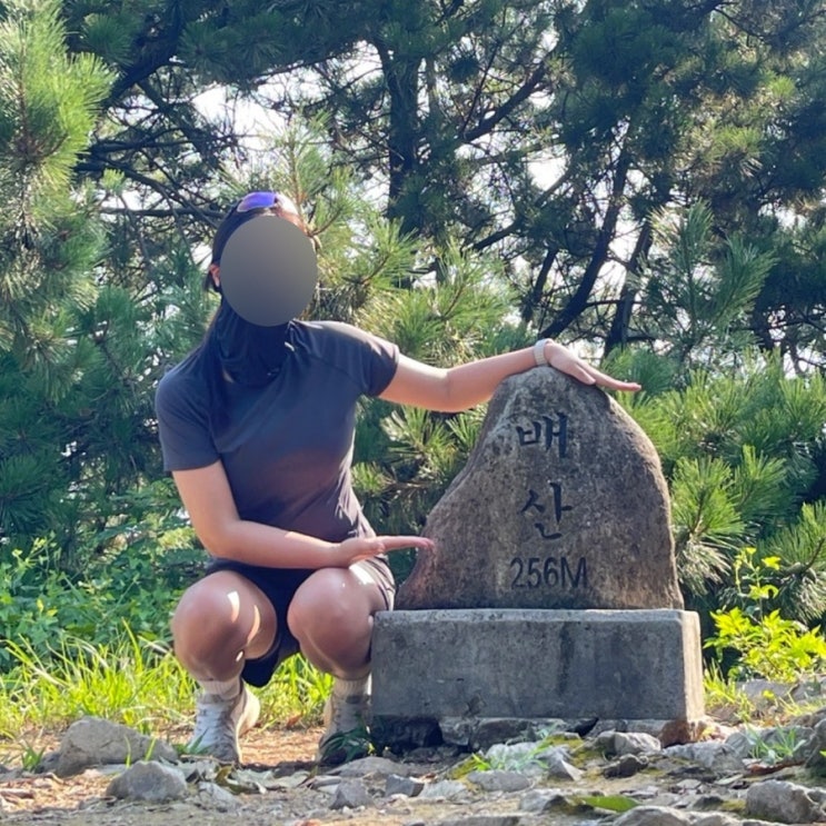 부산 연제구 배산 등산 해발 256M 정상가기 쉬운 여름 등산 : 네이버 블로그