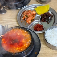 제주 공항근처 맛집 신해바라기분식 내돈내산 솔직후기