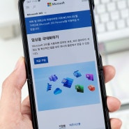 MS 오피스 MS365 월간 연간 구독 할인 KT콘텐츠페이 9월 이벤트