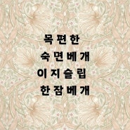 목편한 숙면 베개 이지슬립 한잠 베개