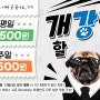 [대학로연극] 섹시 로맨스 연극 <나의PS파트너> _ 개강한할인!!