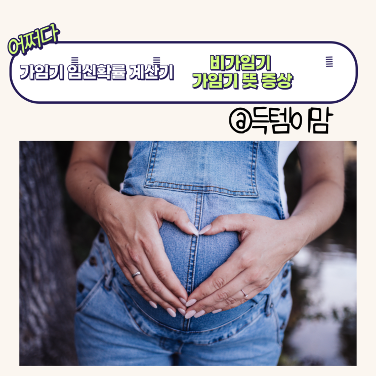 가임기 임신확률 계산기 비가임기 가임기 뜻 증상 : 네이버 블로그