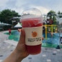 [봉명동카페] FRUIT GYM 건강한 샌드위치 컵과일 배달메뉴 추천