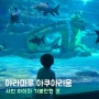 사천 아쿠아리움 아라마루 하마 관람시간 대관람차 아기랑 가볼만한곳