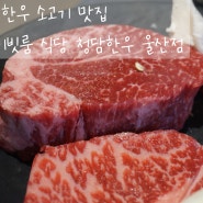 울산 한우 소고기 맛집 청담한우 프라이빗룸 코스 식사 하고 왔어